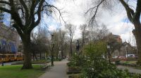Portland Park Blocks